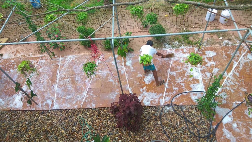 best landscape design
